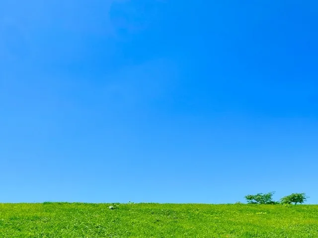 マンツーマン着付け教室を東京都新宿区でオンライン予約可能自分のペースで初心者も安心して始めるコツ