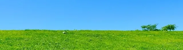 着物の所作を学ぶ初心者向け江戸川橋駅着付け教室マンツーマンレッスン体験記