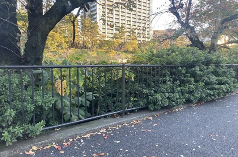 飯田橋・神楽坂の着付け教室｜冬の着物、暖かくするポイント