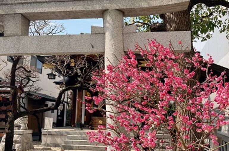 飯田橋・神楽坂の着付け教室｜着物が似合う神社～奥神楽坂